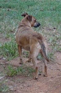 Petunia is bummed about the whole end of summer thing.