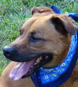 Jackson takes a break from the action.