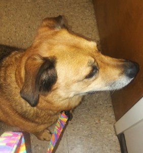 No Jackson, I know this door is going to open.