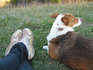 Snickers and me -- in our favorite mode, watching the world go by ...