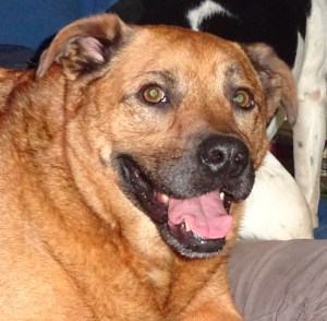 Jackson says - "we hope you have a super duper restful Labor Day!"