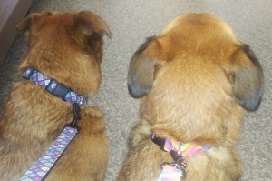 In the waiting room ... we aren't so sure about all this really.