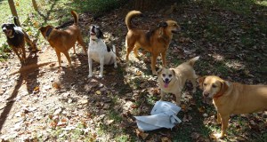 6 of us attempting to wait patiently.