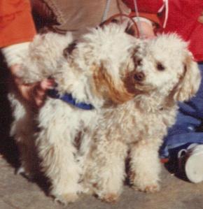 Alexandria, on right, was my first rescue. Here she is with her son, Tigger. 1981