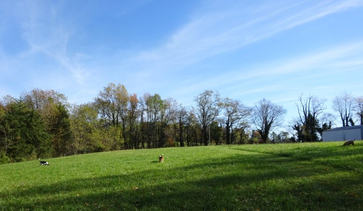 It is hard to believe there is so much bad stuff going on when the world looks like this.